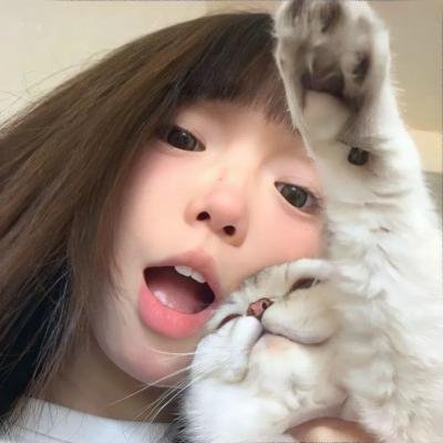 史迪奇头